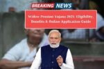 Widow Pension Scheme 2025